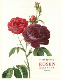 Produktbild: Thorbeckes Rosen-Kalender 2026