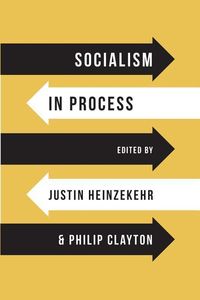 Produktbild: Socialism in Process