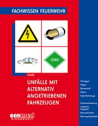 Produktbild: Unf&auml;lle mit alternativ angetriebenen Fahrzeugen