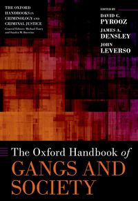 Produktbild: The Oxford Handbook of Gangs and Society