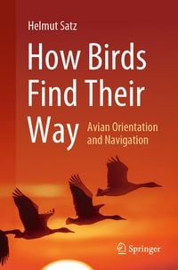 Produktbild: How Birds Find Their Way