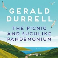 Produktbild: The Picnic and Suchlike Pandemonium