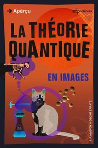Produktbild: La th&eacute;orie quantique en images