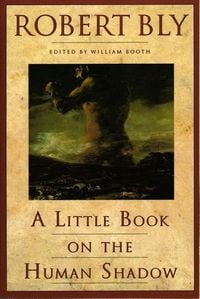 Produktbild: A Little Book on the Human Shadow