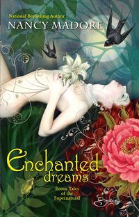 Produktbild: Enchanted Dreams Erotic Tales