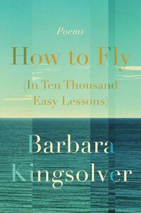 Produktbild: How to Fly (in Ten Thousand Easy Lessons)