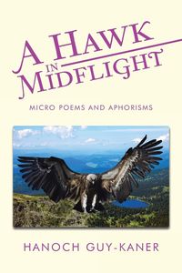 Produktbild: A Hawk in Midflight