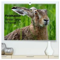 Produktbild: Feldhasen - Meister Lampe in Franken (hochwertiger Premium Wandkalender 2027 DIN A2 quer), Kunstdruck in Hochglanz