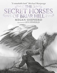 Produktbild: Shepherd, M: Secret Horses of Briar Hill