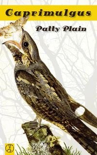 Bild vom Artikel Caprimulgus vom Autor Patty Plain