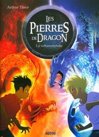 Produktbild: Les pierres de dragon