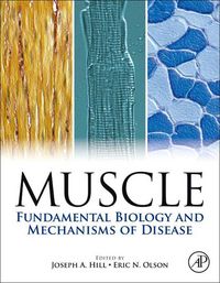 Produktbild: Muscle 2-Volume Set