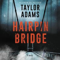 Bild vom Artikel Hairpin Bridge Lib/E vom Autor Taylor Adams