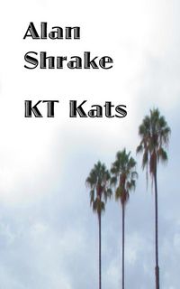 Produktbild: KT Kats