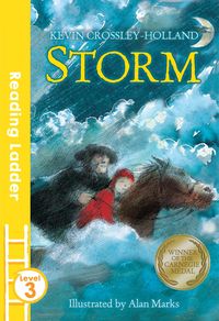 Produktbild: Crossley-Holland, K: Storm_reading Ladder Level Pb