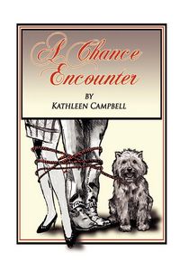 Produktbild: A Chance Encounter