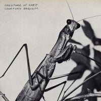 Produktbild: Creature of Habit