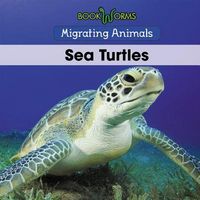 Produktbild: Sea Turtles