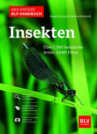 Produktbild Das große BLV Handbuch Insekten
