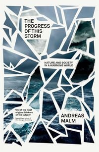 Produktbild: The Progress of This Storm