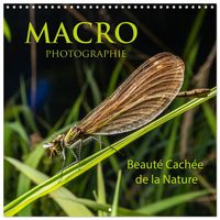 Produktbild: MACRO PHOTOGRAPHIE Beaut&eacute; Cach&eacute;e de la Nature (Calendrier mural carr&eacute; 2026 30x30 cm) Calendrier double avec une page pour vos prises de notes