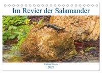 Produktbild: Im Revier der Salamander (Tischkalender 2027 DIN A5 quer), CALVENDO Monatskalender