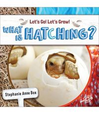 Produktbild: What Is Hatching?