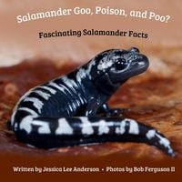 Produktbild: Salamander Goo, Poison, and Poo? Fascinating Salamander Facts
