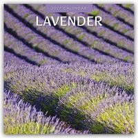 Produktbild: Lavender &ndash; Lavendel 2027 &ndash; 16-Monatskalender