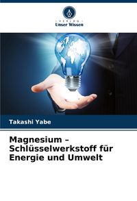 Produktbild: Magnesium - Schl&uuml;sselwerkstoff f&uuml;r Energie und Umwelt