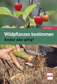 Produktbild: Wildpflanzen bestimmen