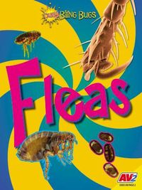 Produktbild: Fleas