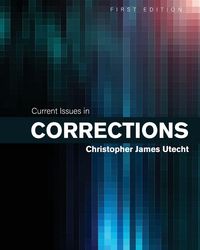 Produktbild: Current Issues in Corrections
