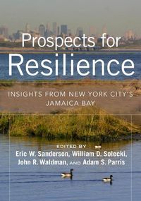 Produktbild: Prospects For Resilience