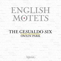 Produktbild: Englische Motetten