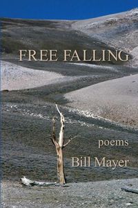 Produktbild: Free Falling