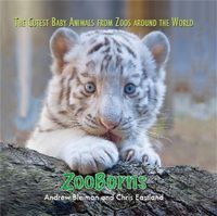 Produktbild: Bleiman, A: ZooBorns
