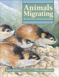 Produktbild: Animals Migrating