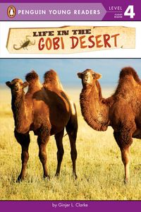 Bild vom Artikel Life in the Gobi Desert vom Autor Ginjer L. Clarke