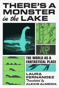Produktbild: There's a Monster in the Lake