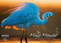 Produktbild: The Magic Moment