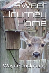 Produktbild: Sweet Journey Home