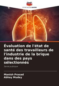Produktbild: &Eacute;valuation de l'&eacute;tat de sant&eacute; des travailleurs de l'industrie de la brique dans des pays s&eacute;lectionn&eacute;s