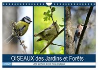 Produktbild: OISEAUX des Jardins et For&ecirc;ts (Calendrier mural 2026 DIN A4 vertical), CALVENDO calendrier mensuel
