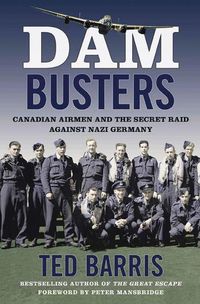 Produktbild: Dam Busters