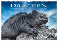 Produktbild: Drachen: Geheimnisvolles Tierreich (Wandkalender 2026 DIN A2 quer), CALVENDO Monatskalender