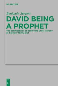 Produktbild: David Being a Prophet
