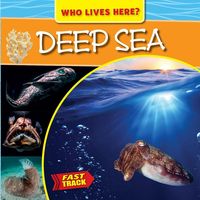 Produktbild: Deep Sea