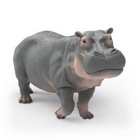 Produktbild: schleich&reg; 14938 - Wild Life, Flusspferd, Tierfigur