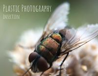 Produktbild: Plastic Photography